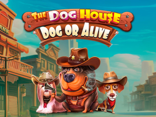 The Dog House: Dog or Alive